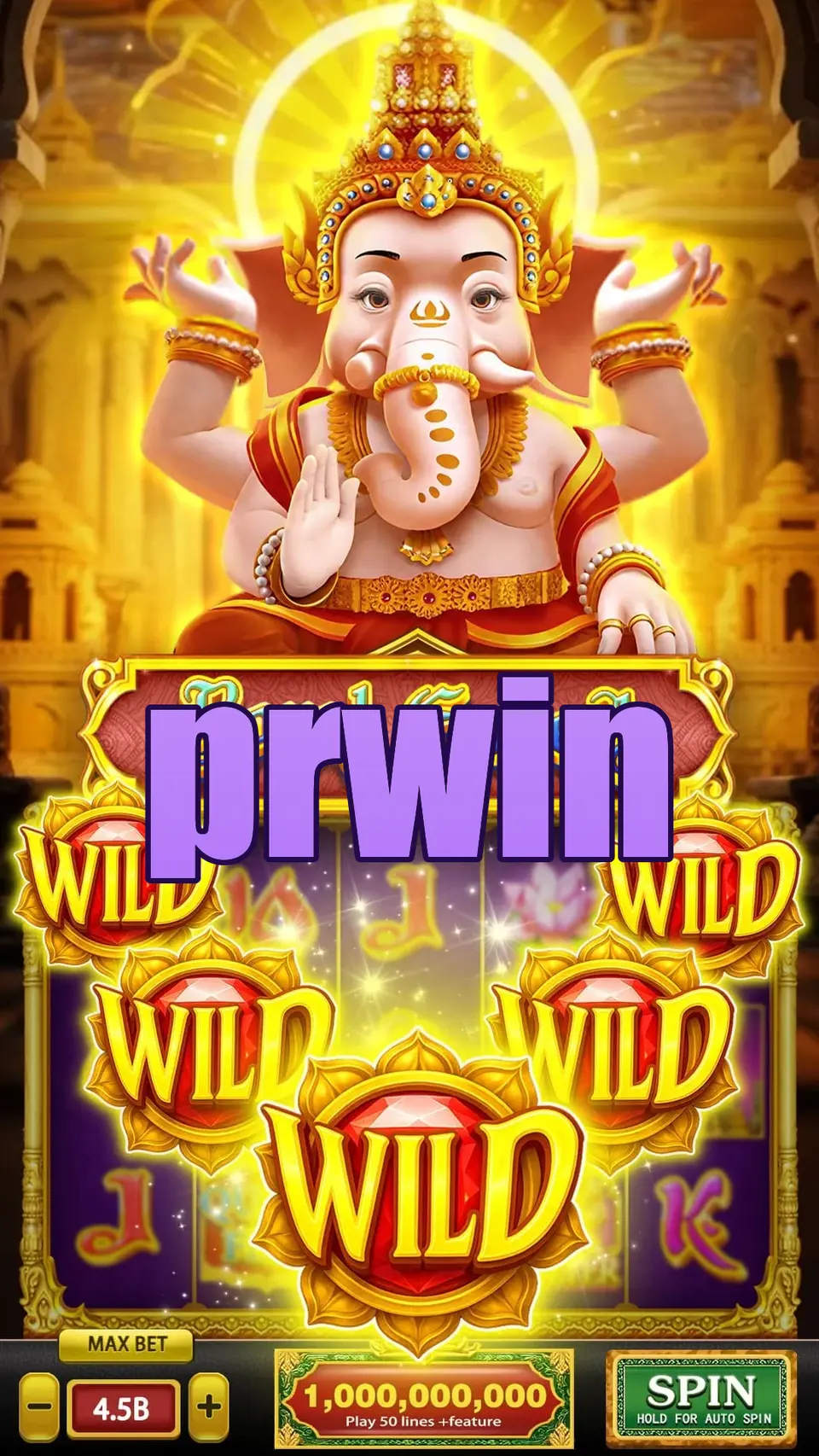 prwin Preview - Resmi Unduh